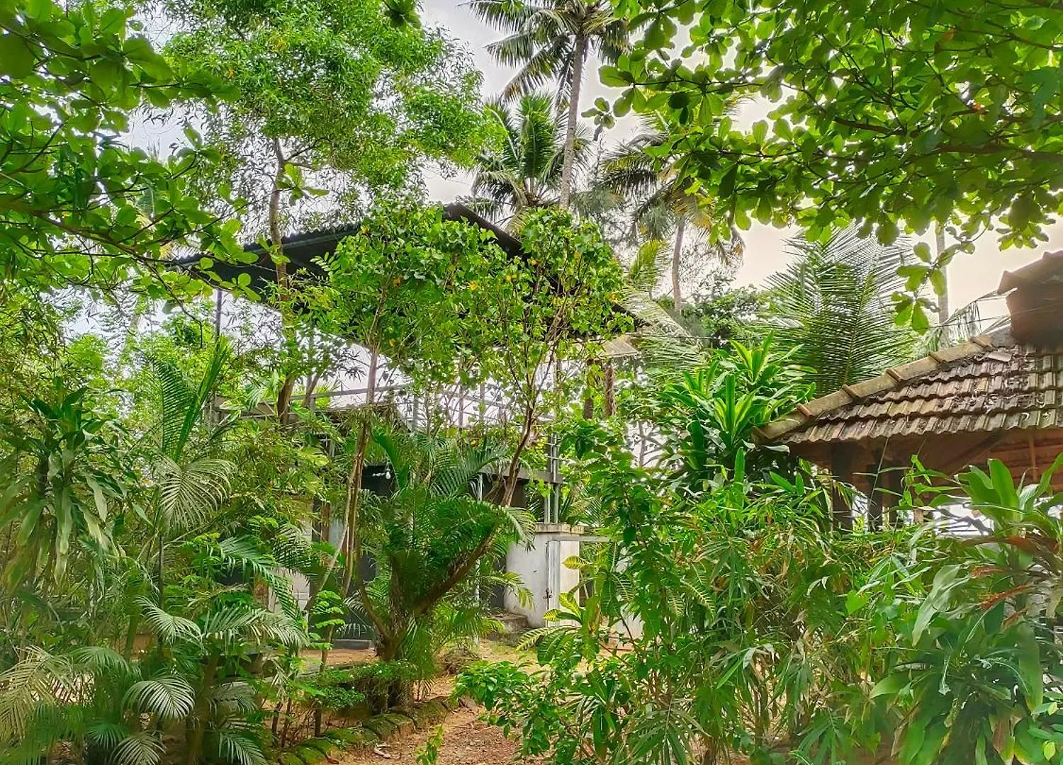 Beach Island Villas,Nearby Varkala Kollam 0*,